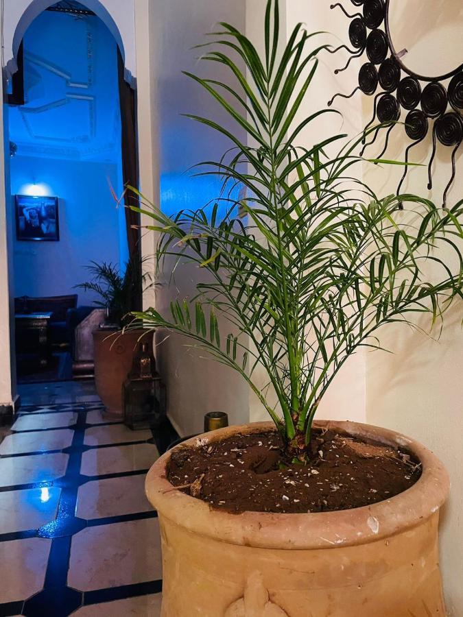 Riad Ms Holidays Terrasse Privatise Marrakech Marrakesh Eksteriør billede