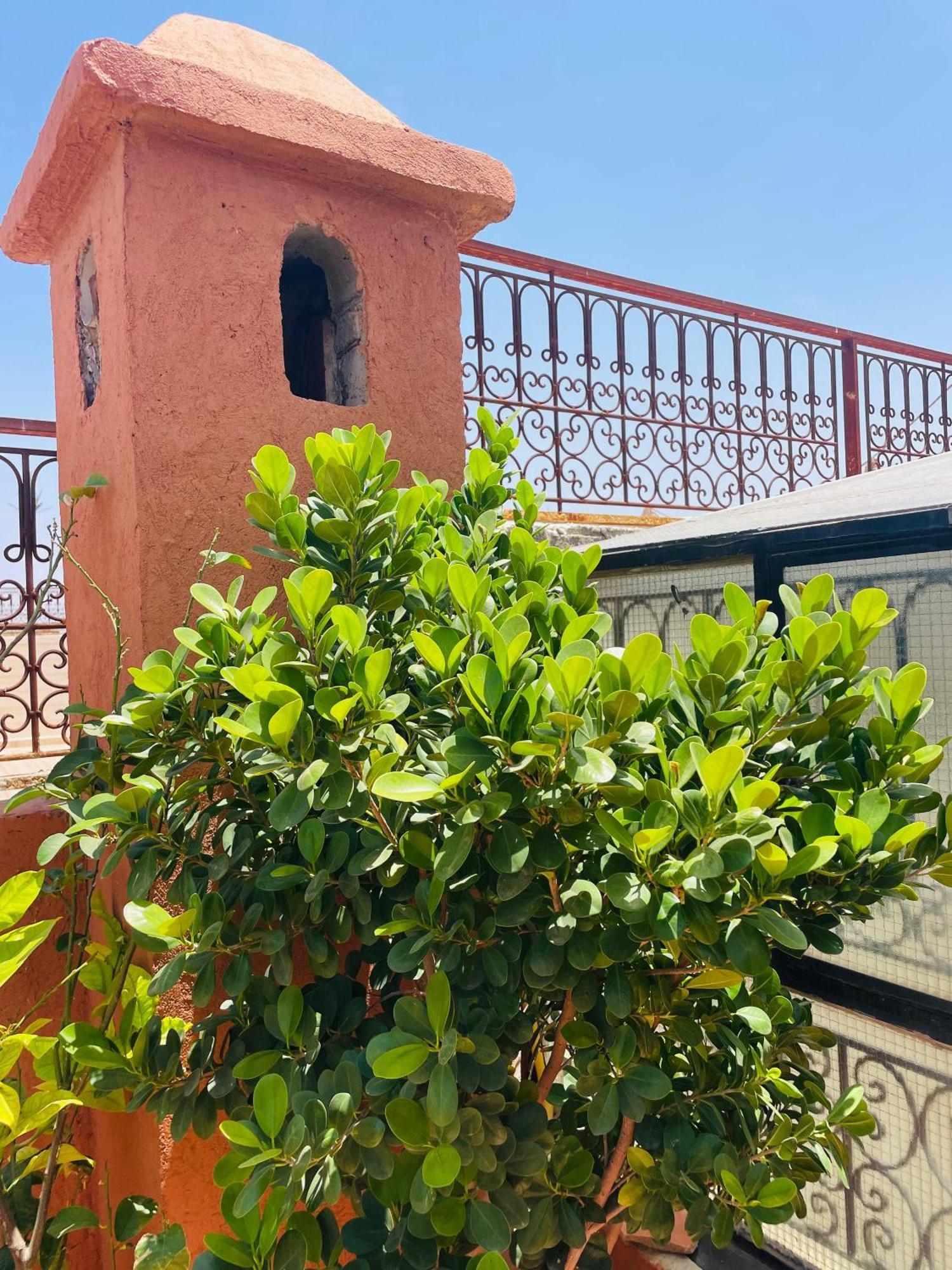 Riad Ms Holidays Terrasse Privatise Marrakech Marrakesh Eksteriør billede